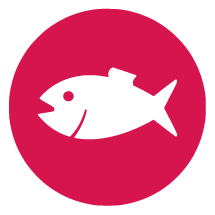 Red herring fallacy icon