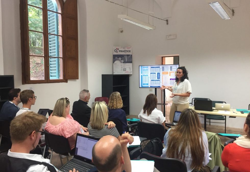 Experts’ summer school in preparation to the training seminars for teachers